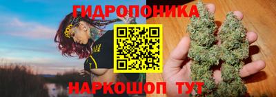 винт Тула