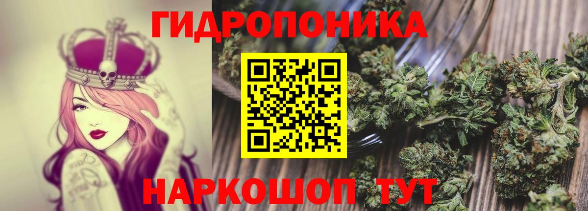 Канабис сатива Артём